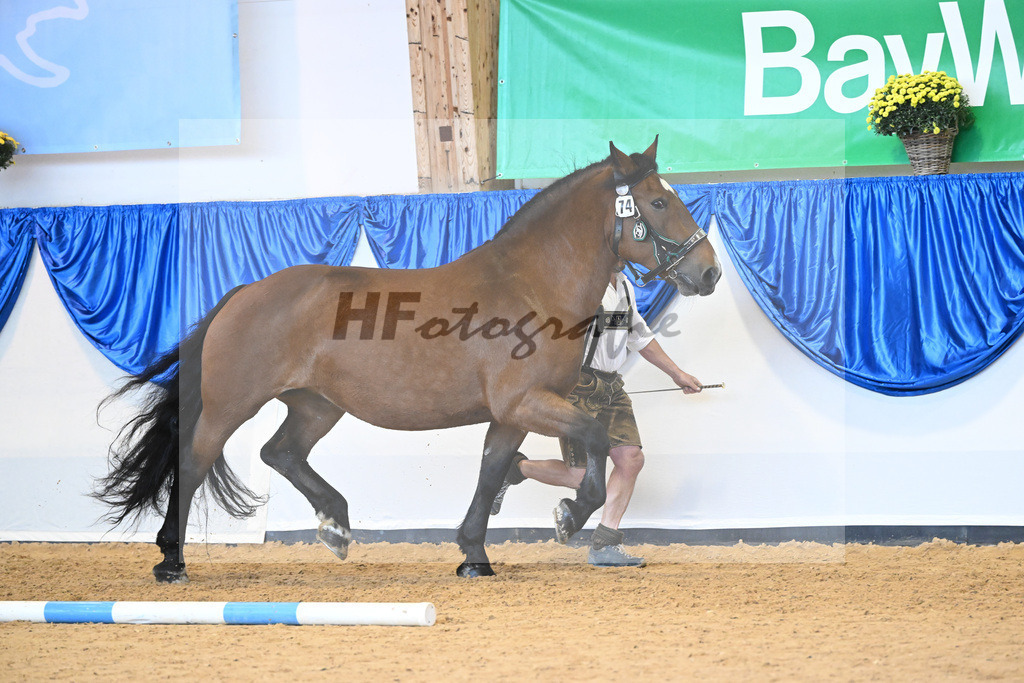 Kat-Nr. 74 Baronin_Kiening_53220323 | hf-fotografie - Realisiert mit Pictrs.com