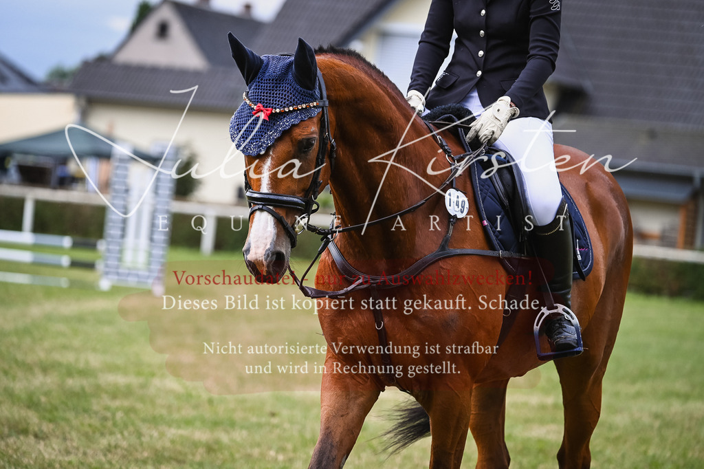 DSC_8330 | Pferde- und Turnierfotografie in Westsachsen. Pferdeportraits, Auftragszeichnungen und intuitive Kunst.