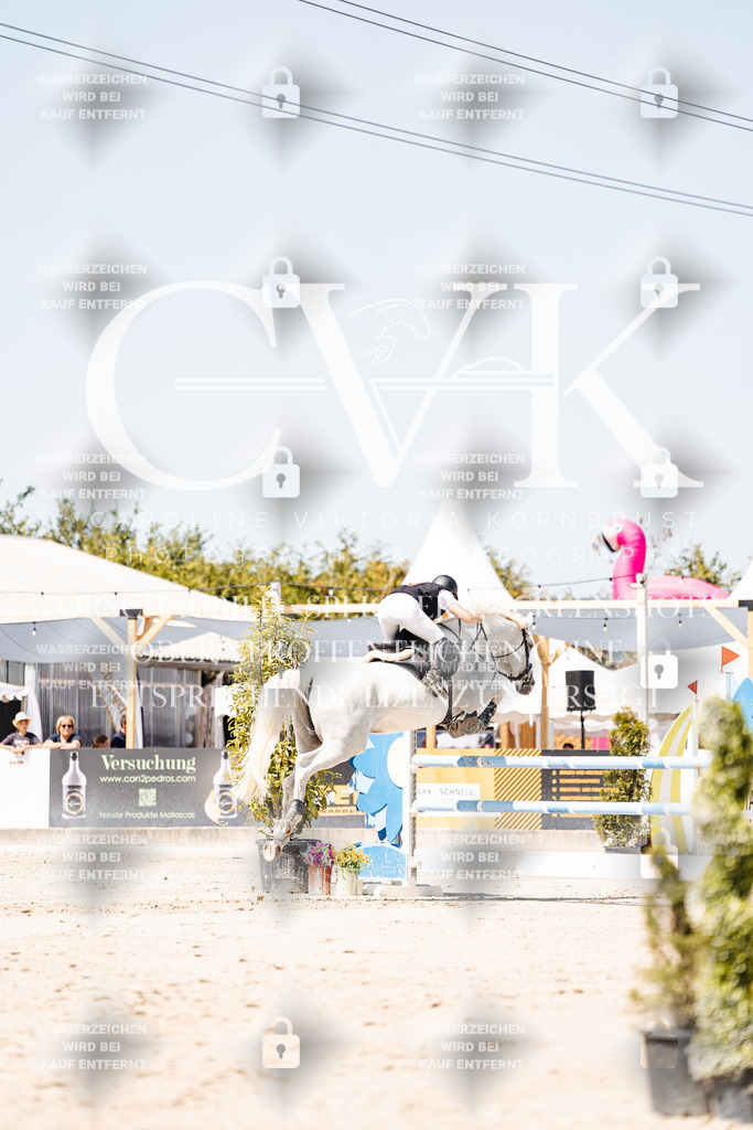 CK909762 | Turnierfotografie Pferdefotografie Trier Rheinland-Pfalz Pferdesport Reitsport Tierfotografie Sportfotografie Pferdevideo Pferdevideografie Equestrianvideography equestrianphotography  - Realisiert mit Pictrs.com