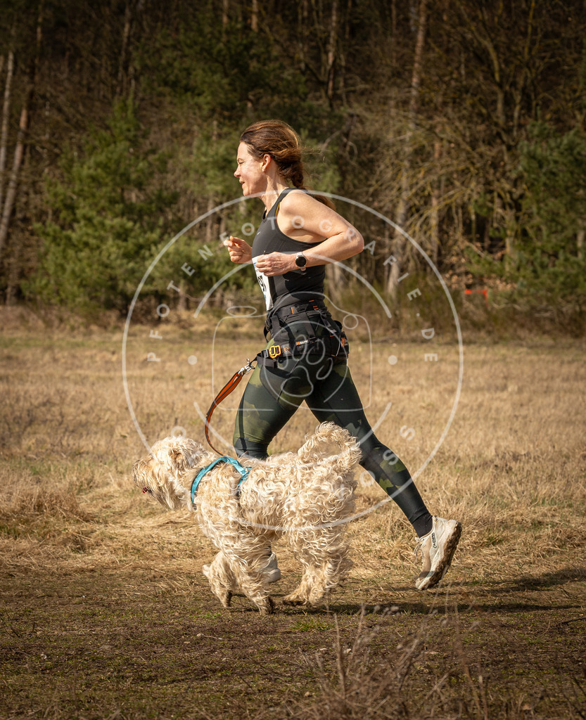 DV3A5466 | Hundefotografie, Tierfotograf, Pfotenfotografie, Fotoshooting Hund, Hunde Portrait, Hundesport, Hundeportraits, Heideshooting, Hunde, Sportfotograf, Hundefotograf, Turnierhundsport, THS,  - Realisiert mit Pictrs.com