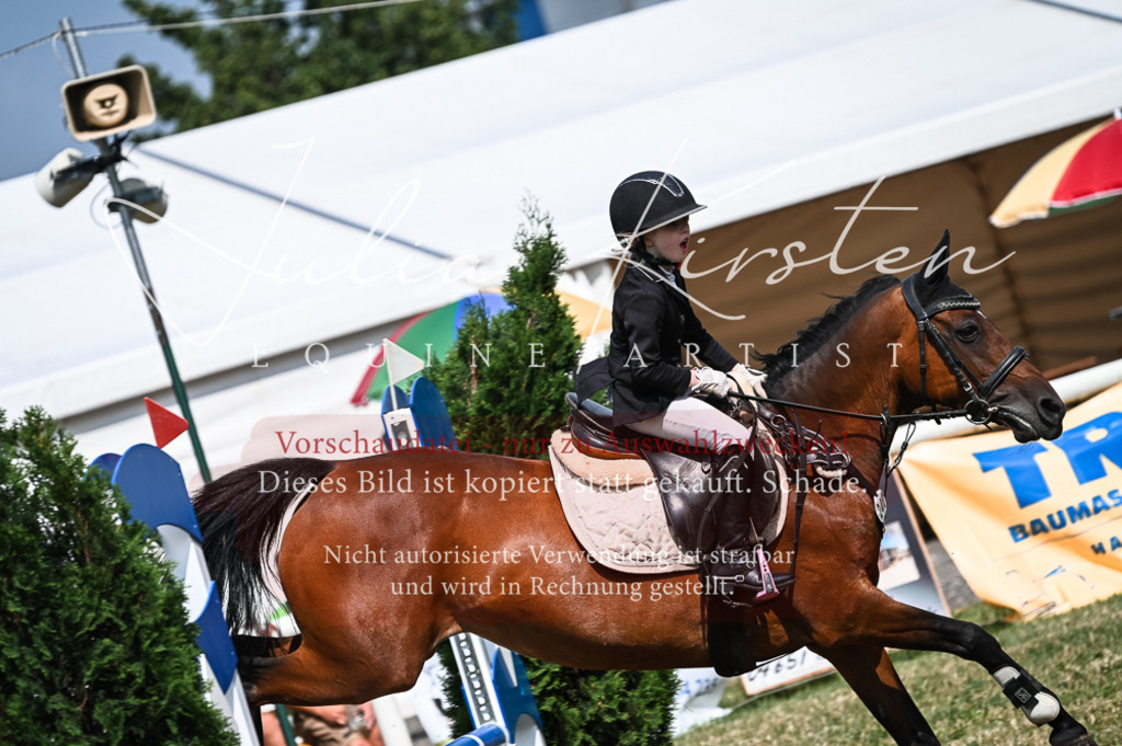 DSC_8514 | Pferde- und Turnierfotografie in Westsachsen. Pferdeportraits, Auftragszeichnungen und intuitive Kunst.