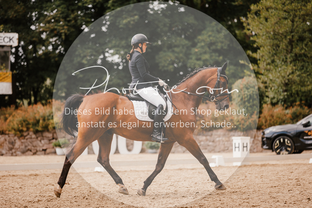 3I6A6319 | Stimmungsvolle Portraits und Reitsportfotografie im Ruhrgebiet und im Münsterland.

Pferdefotografie, Hundefotografie, Tierfotografie, Reportagen, Portraits von Tier und Mensch, Turnierfotografie in Bochum, Recklinghausen, Marl, Haltern am See, Dülmen.. - Realisiert mit Pictrs.com