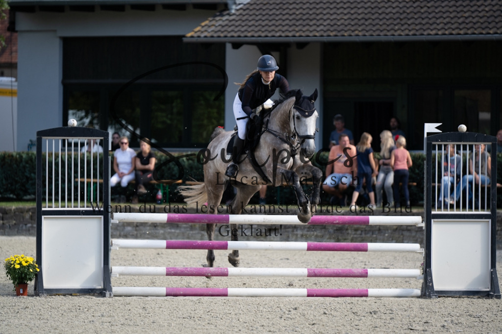 A7V07806 | Turnier/Reitfotograf