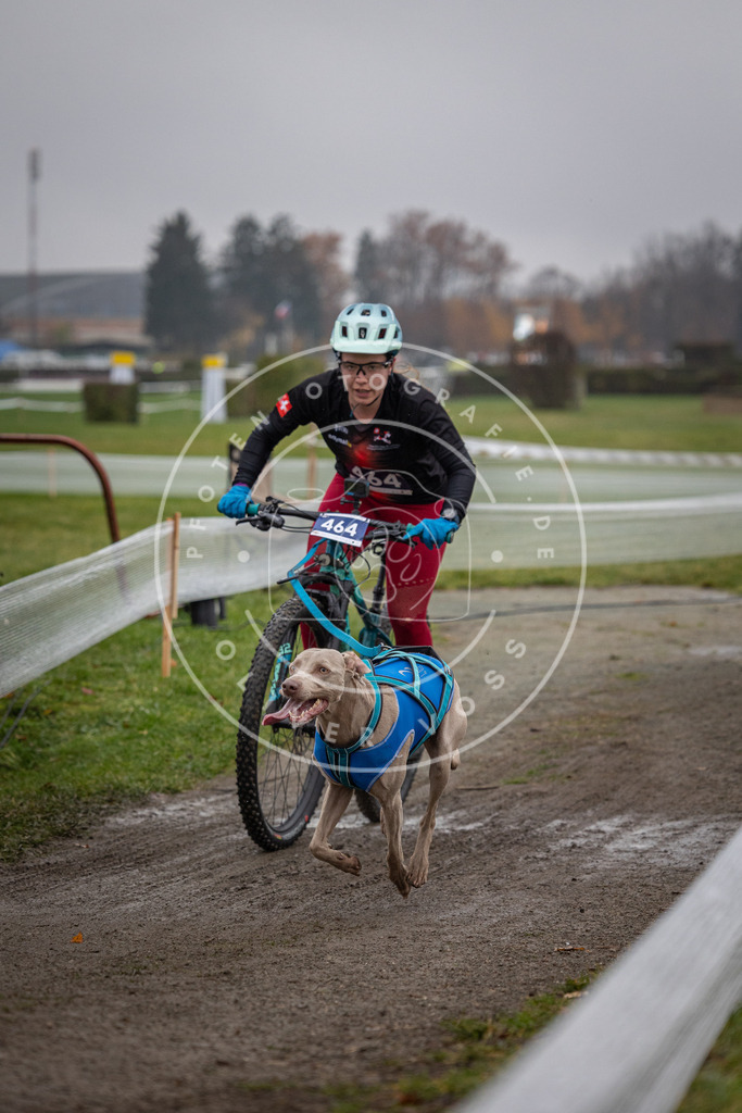 CaniXpix_0L8A1703 | Hundefotografie, Tierfotograf, Pfotenfotografie, Fotoshooting Hund, Hunde Portrait, Hundesport, Hundeportraits, Heideshooting, Hunde, Sportfotograf, Hundefotograf, Turnierhundsport, THS,  - Realisiert mit Pictrs.com