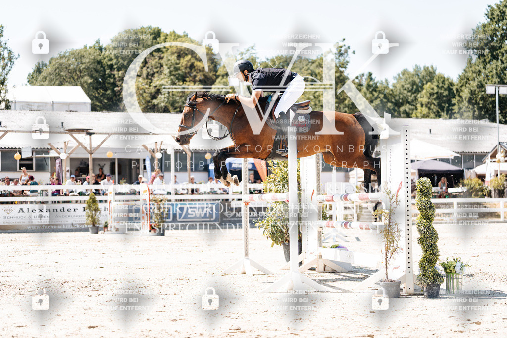 CK909993 | Turnierfotografie Pferdefotografie Trier Rheinland-Pfalz Pferdesport Reitsport Tierfotografie Sportfotografie Pferdevideo Pferdevideografie Equestrianvideography equestrianphotography  - Realisiert mit Pictrs.com