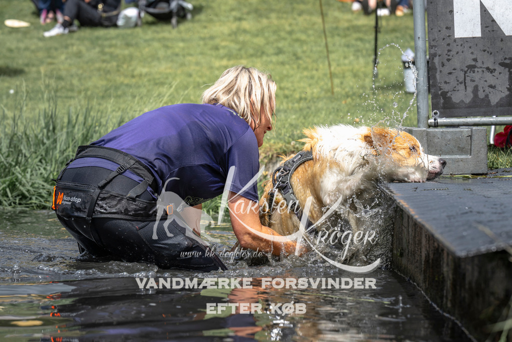 1153_ZZ94238 | kk-dogfotos