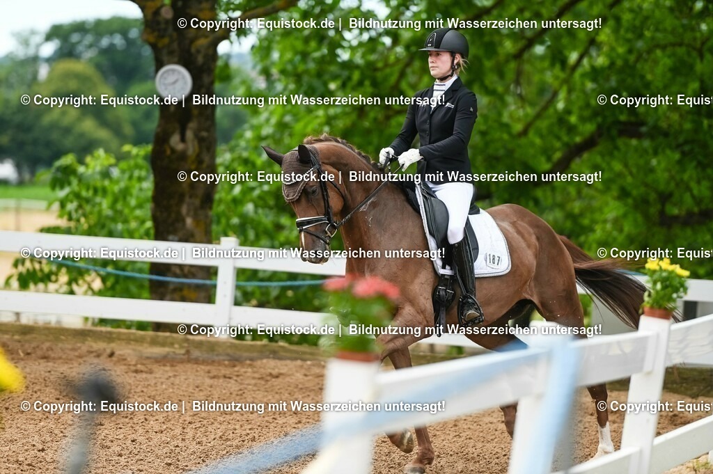 20230715_07_Dressurpferdeprfg. Kl.L_0059 | equistock