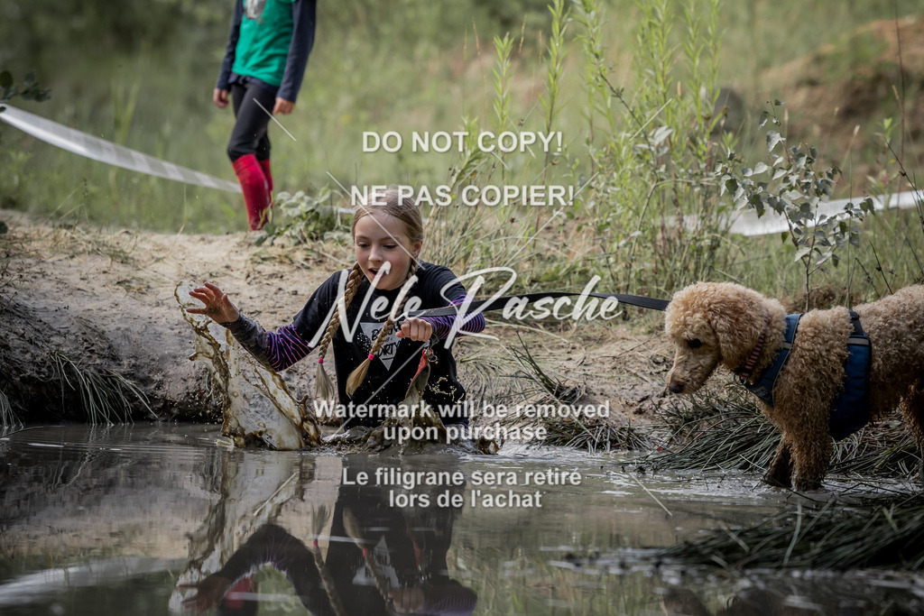 nelerasche_so0800-0930_42 | nelerasche