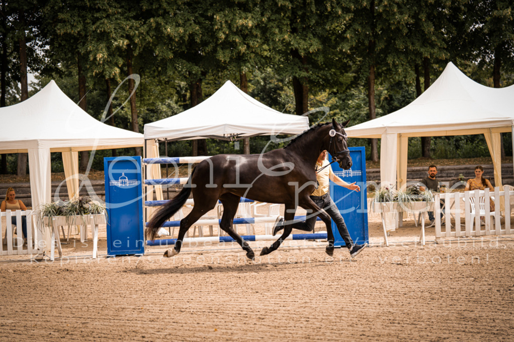 4.Fr00085 | Leoni Ertmer Photography - Realisiert mit Pictrs.com