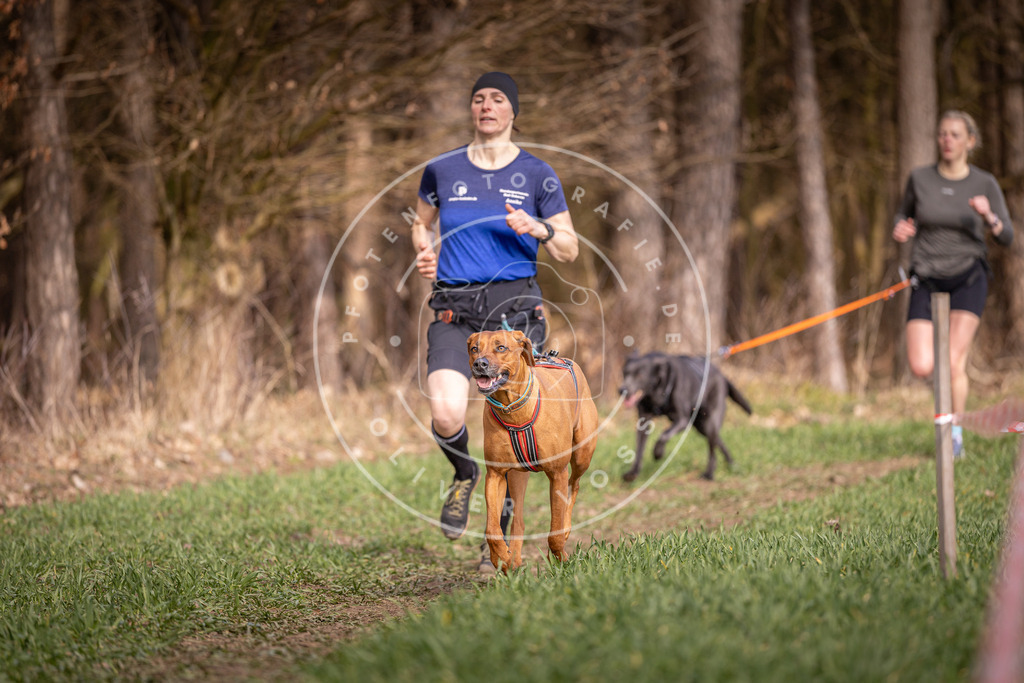 DV3A6051 | Hundefotografie, Tierfotograf, Pfotenfotografie, Fotoshooting Hund, Hunde Portrait, Hundesport, Hundeportraits, Heideshooting, Hunde, Sportfotograf, Hundefotograf, Turnierhundsport, THS,  - Realisiert mit Pictrs.com