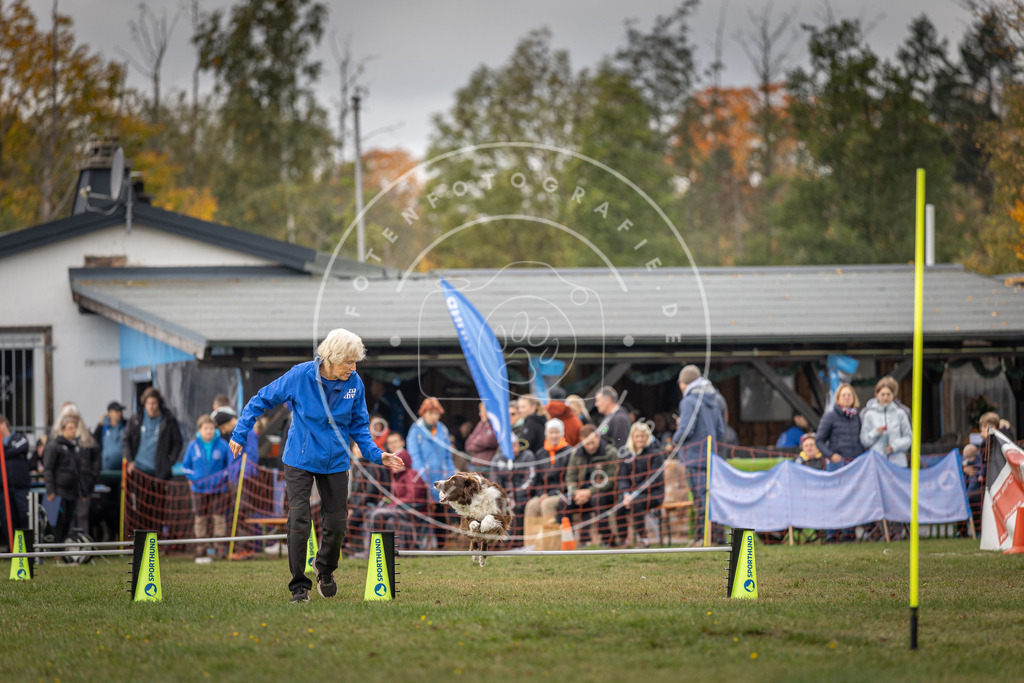 Pfotenfotografie_DV3A5675 | Hundefotografie, Tierfotograf, Pfotenfotografie, Fotoshooting Hund, Hunde Portrait, Hundesport, Hundeportraits, Heideshooting, Hunde, Sportfotograf, Hundefotograf, Turnierhundsport, THS,  - Realisiert mit Pictrs.com