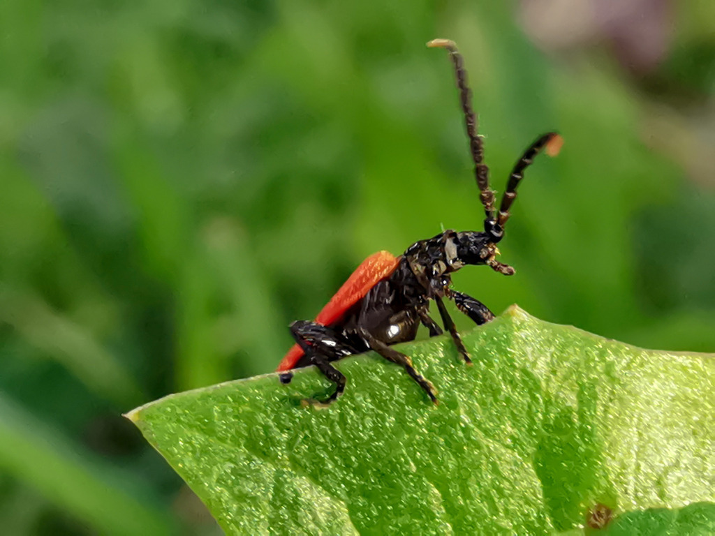 PSX_20230910_223614 | mtkfoto_ - Realisiert mit Pictrs.com