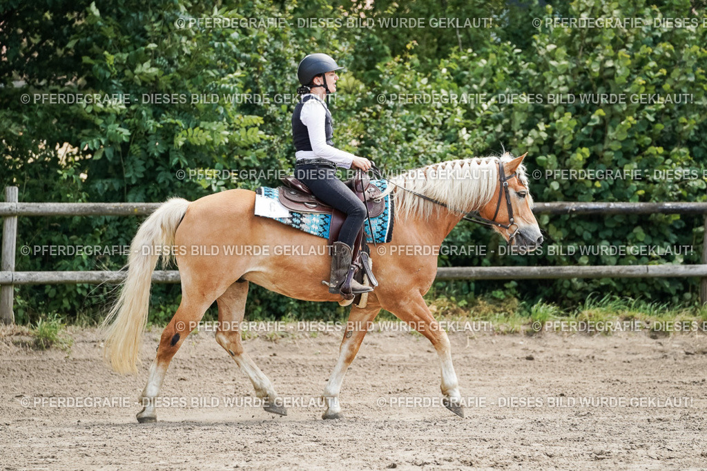 DSC07154 | Pferdegrafie