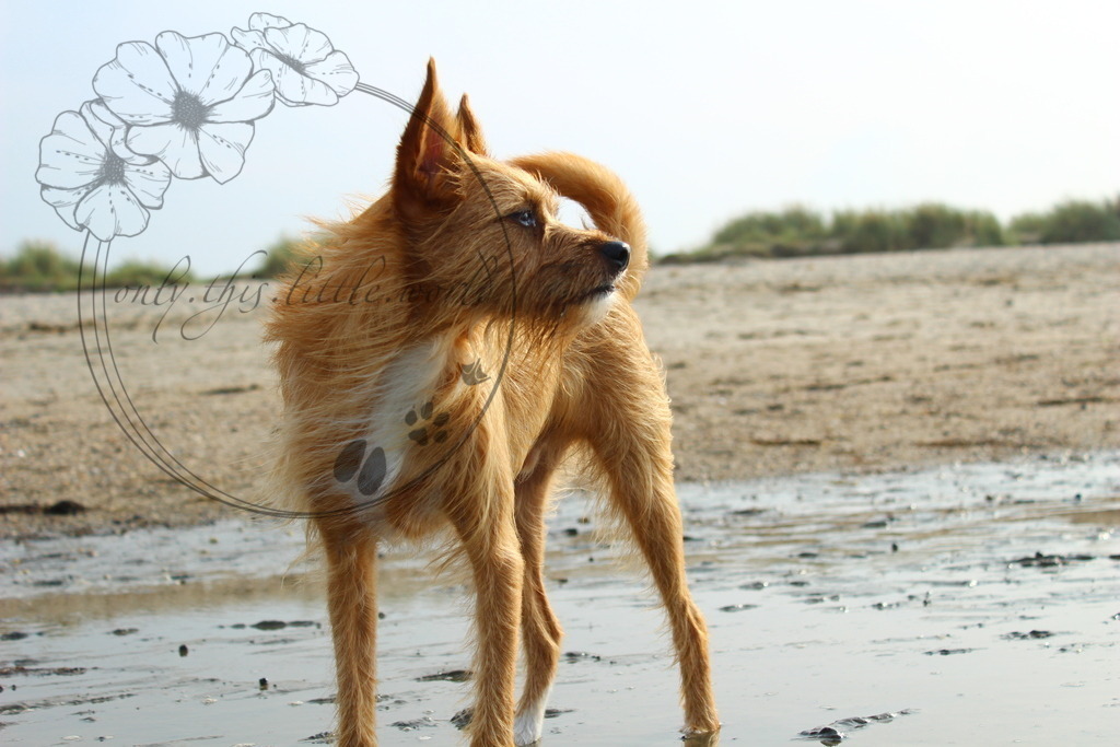 IMG_5899 | only.this.little.world - Realisiert mit Pictrs.com