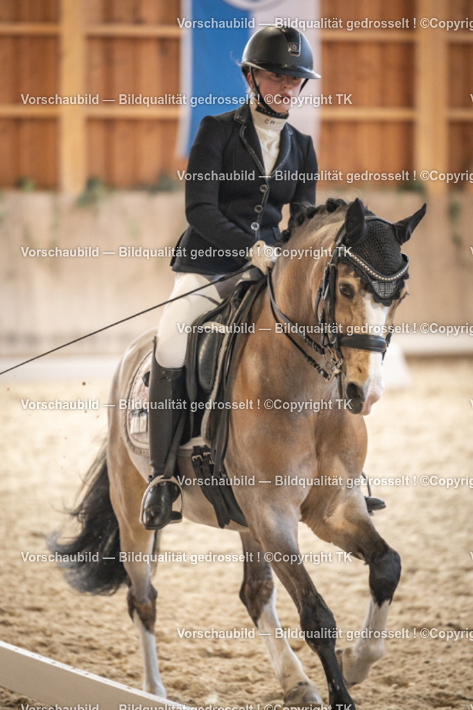 _D5A9099 | Emotionale Pferde- & People-Fotografie rund um Heidelberg, Leimen & Umgebung. Natürliche Fotos von Pferd, Mensch & Familie. Jetzt Termin sichern!