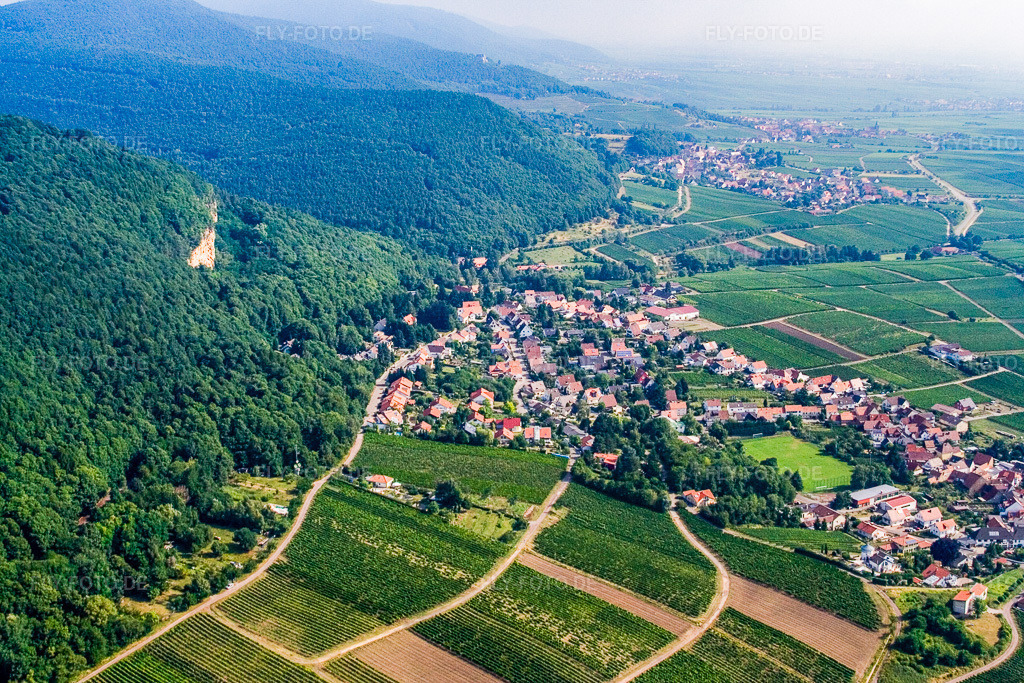 Luftbild: Winzerort am Haardtrand von Süden in Frankweiler im Bundesland Rheinland-Pfalz in Deutschland. Foto: IMG_12147.jpg vom 31.07.2008 durch Werner Riehm/FLY-FOTO.de