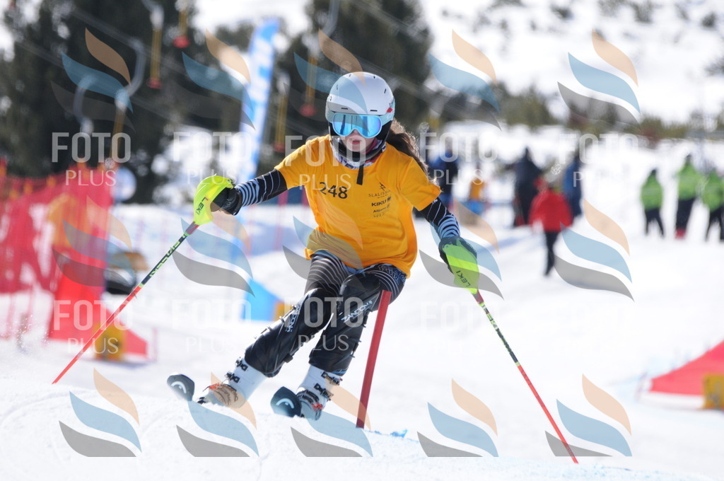 C8840 | holidayphoto