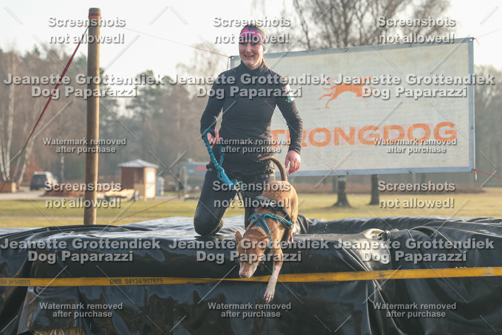 Dog Paparazzi - SD North Sa 830-900-53 | Dog Paparazzi Jeanette Grottendiek Fotografie & Videografie - Realisiert mit Pictrs.com