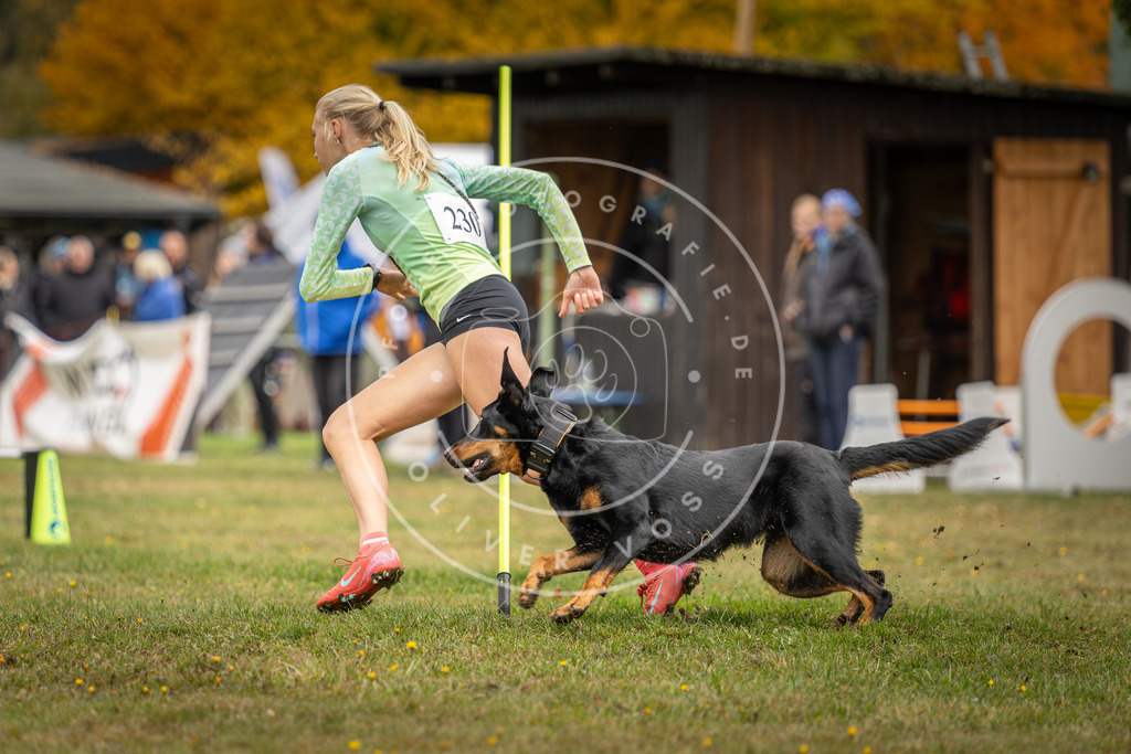 Pfotenfotografie_DV3A3303 | Hundefotografie, Tierfotograf, Pfotenfotografie, Fotoshooting Hund, Hunde Portrait, Hundesport, Hundeportraits, Heideshooting, Hunde, Sportfotograf, Hundefotograf, Turnierhundsport, THS,  - Realisiert mit Pictrs.com