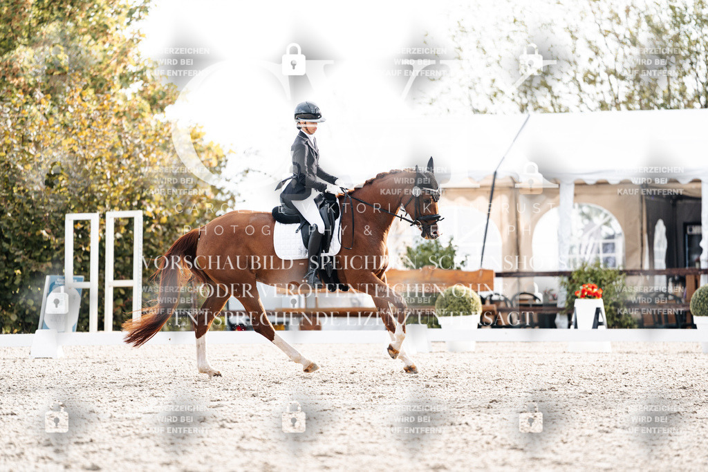 CK900655 | Turnierfotografie Pferdefotografie Trier Rheinland-Pfalz Pferdesport Reitsport Tierfotografie Sportfotografie Pferdevideo Pferdevideografie Equestrianvideography equestrianphotography  - Realisiert mit Pictrs.com