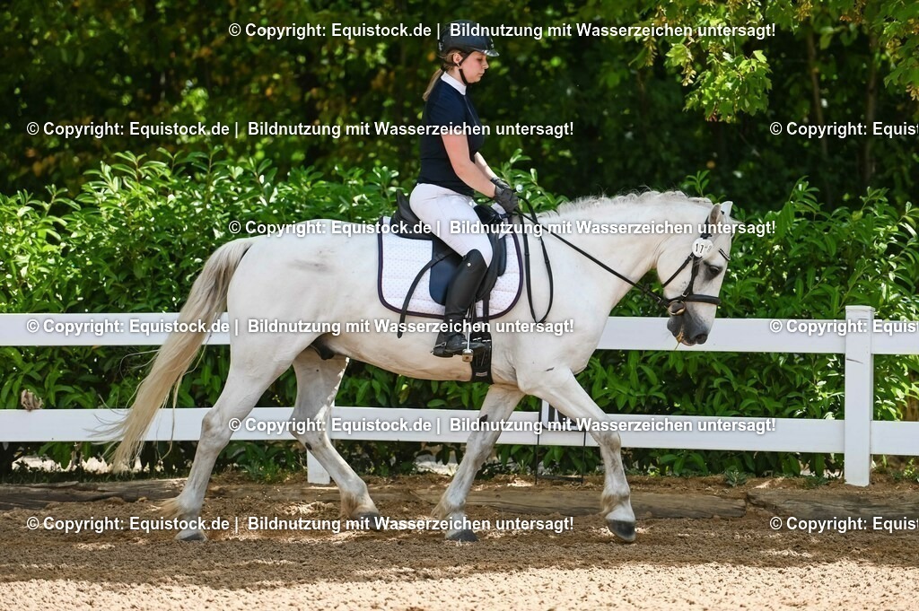 20230715_09_Dressur-WB_0022 | equistock