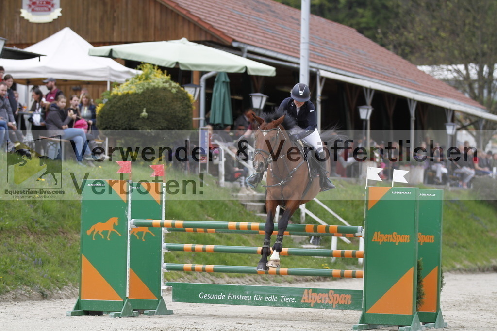 _MG_4132 | equestrian-live-com