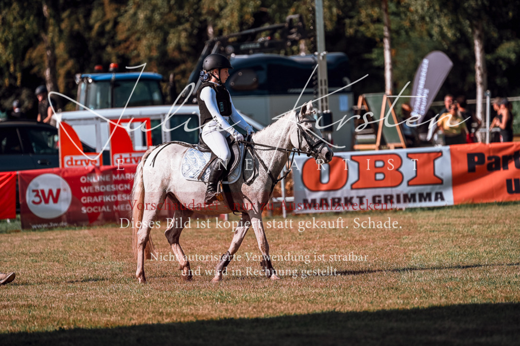 DSC_0633 | Pferde- und Turnierfotografie in Westsachsen. Pferdeportraits, Auftragszeichnungen und intuitive Kunst.