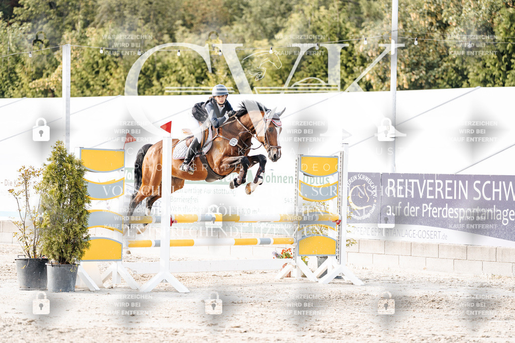 CK906864 | Turnierfotografie Pferdefotografie Trier Rheinland-Pfalz Pferdesport Reitsport Tierfotografie Sportfotografie Pferdevideo Pferdevideografie Equestrianvideography equestrianphotography  - Realisiert mit Pictrs.com