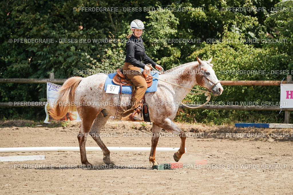 DSC06344 | Pferdegrafie