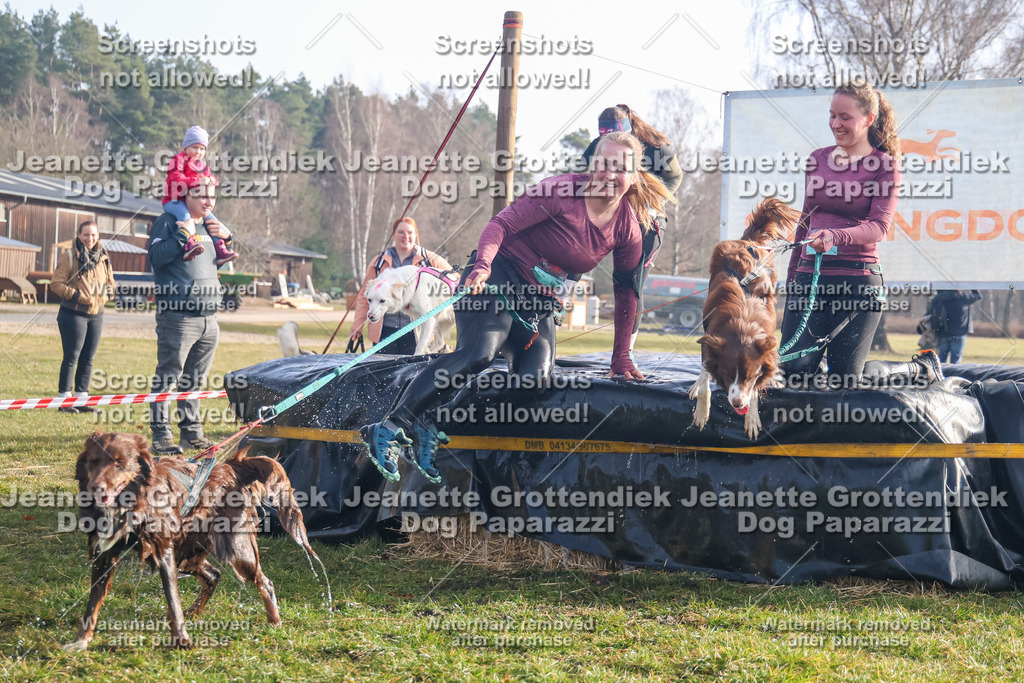 Dog Paparazzi - Strongdog North Mrz26-133 | Dog Paparazzi Jeanette Grottendiek Fotografie & Videografie - Realisiert mit Pictrs.com