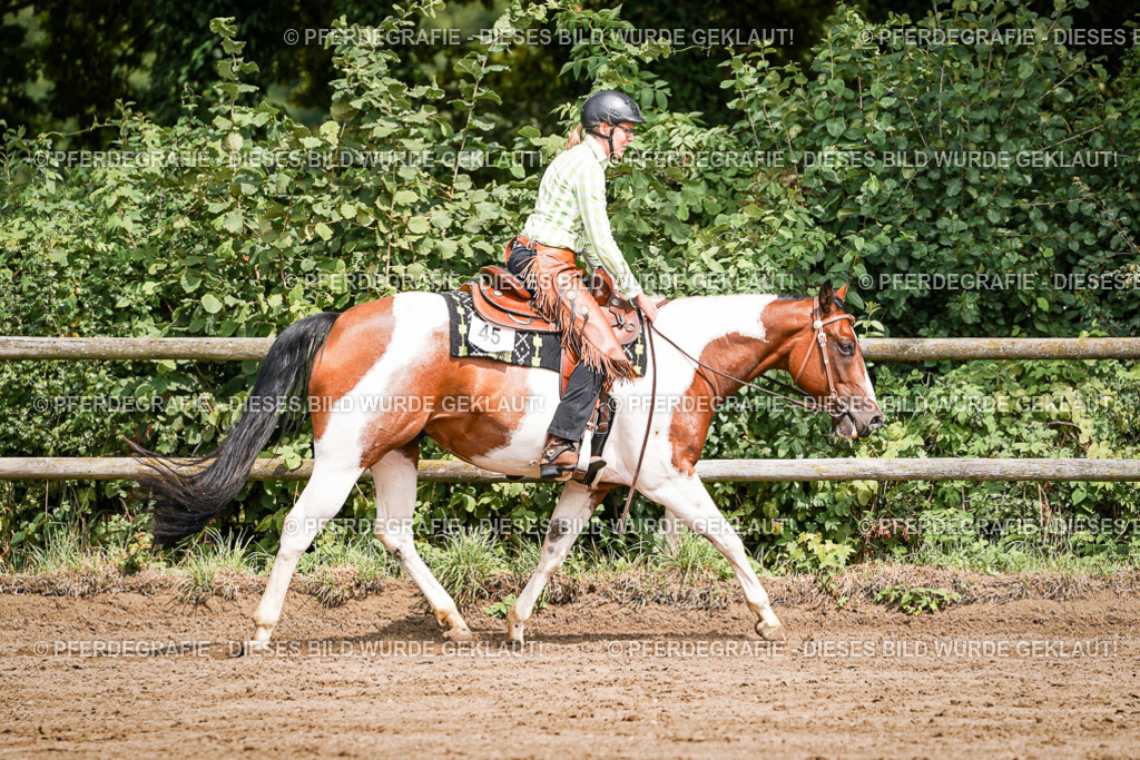 DSC07182 | Pferdegrafie