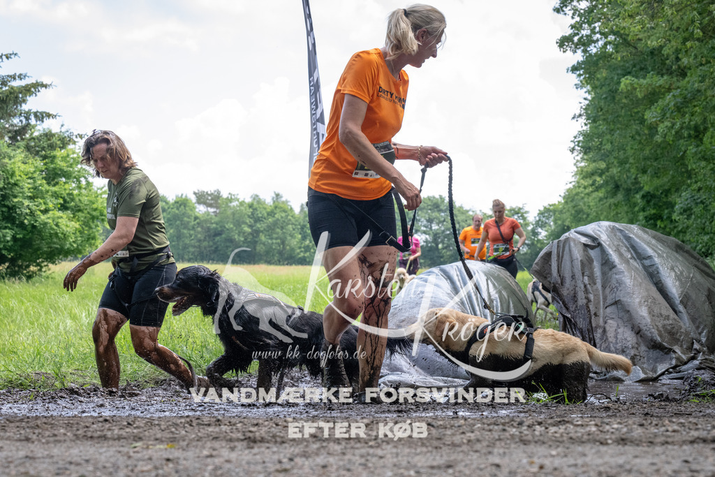 1143_ZZ94084 | kk-dogfotos