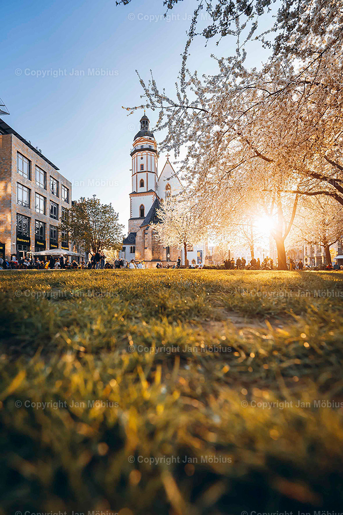 _DSC6459 | Leipzig Wandbilder Drucke Prints Leinwand Stadtmotive Leipzig Fotosdruck Kunstdrucke Bilder Leipzig Stadtansichten Acrylglasbilder Leipzig Wanddeko Fine Art Prints Wandbilder Büro Leipzig Bilder Praxis Zuhause Bilderdruck Poster Posterlounge Kunstdrucke - Realisiert mit Pictrs.com