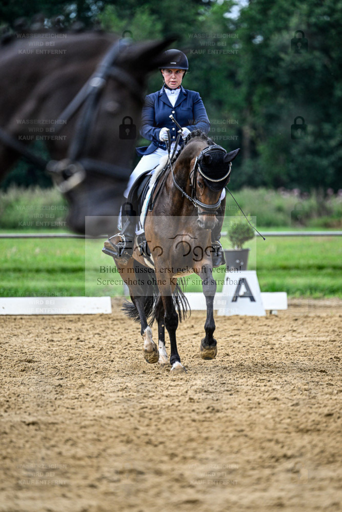 Reitturnier Hasbergen | Entdecke hochwertige Reitturnierfotos von Foto Oger. Professionell, emotional und authentisch – jetzt Lieblingsmomente im Shop bestellen. - Realisiert mit Pictrs.com
