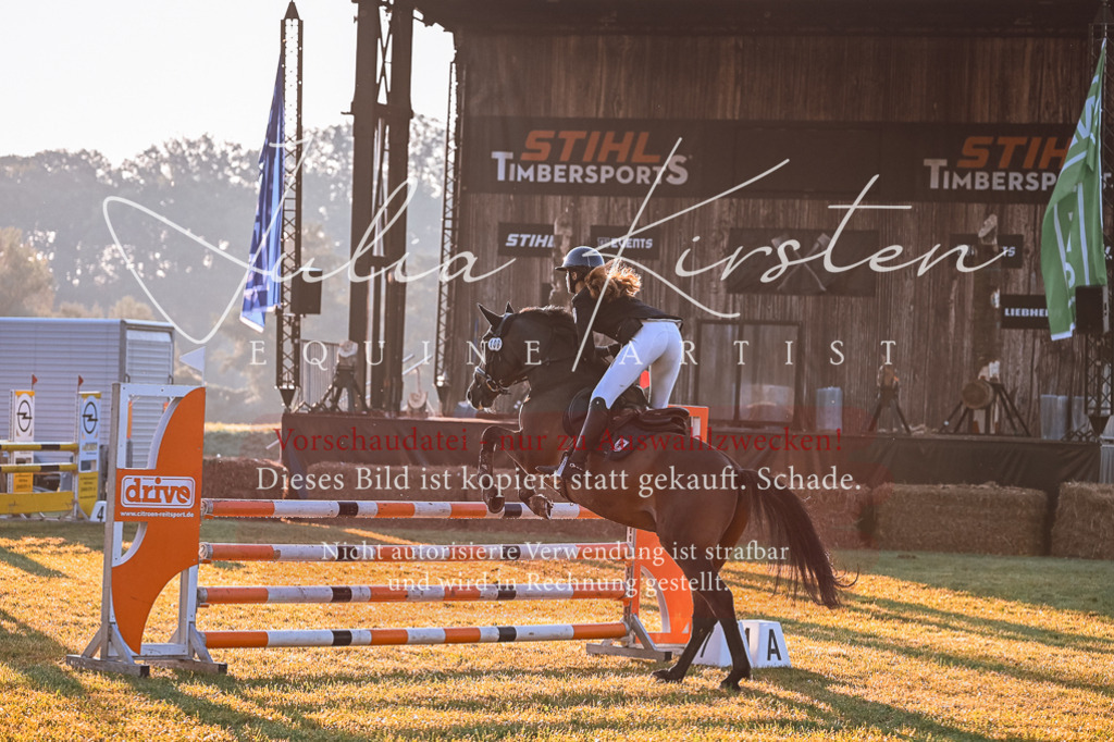 DSC_3724 | Pferde- und Turnierfotografie in Westsachsen. Pferdeportraits, Auftragszeichnungen und intuitive Kunst.