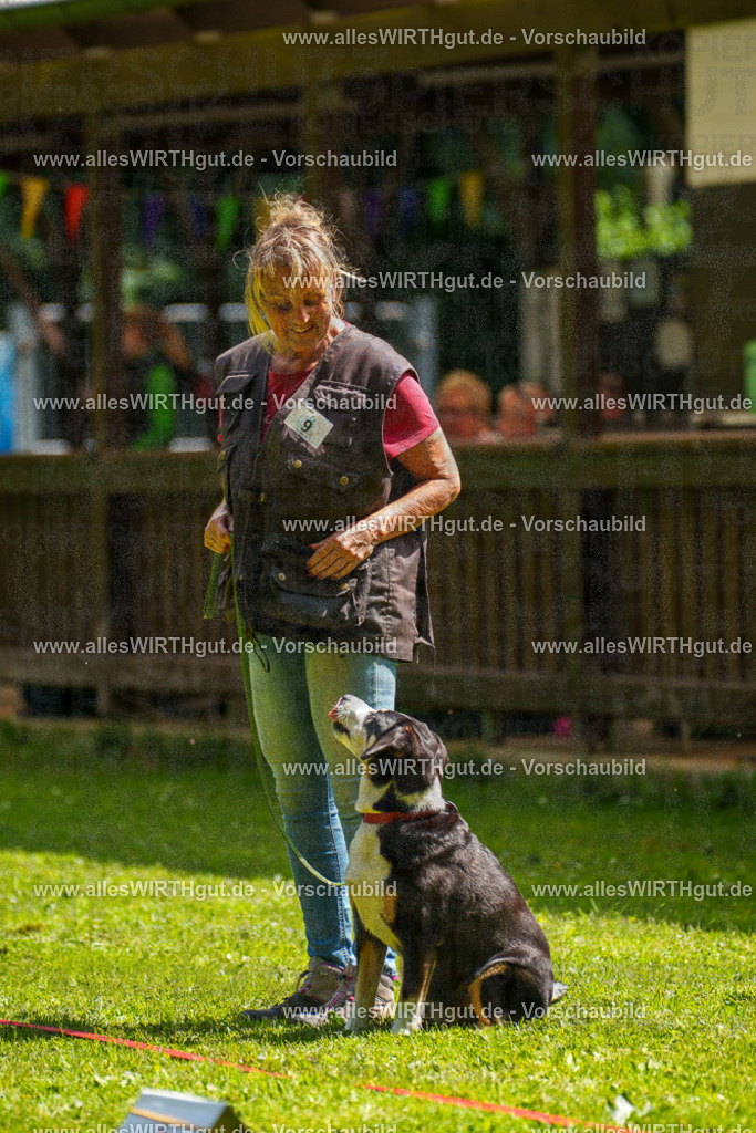 @allesWIRTHgut_Tierfotografie - www.allesWIRTHgut.de - 7R503444 | Professionelle Tierfotografie in Mönchengladbach von Daniel Wirth (allesWIRTHgut). Liebevolle & natürliche Bilder von Hunden & Katzen für unvergessliche Erinnerungen.