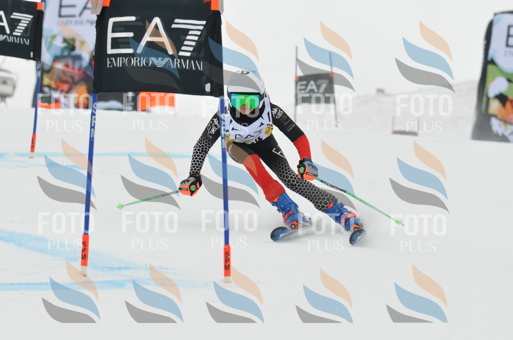 DSC_8248 | holidayphoto