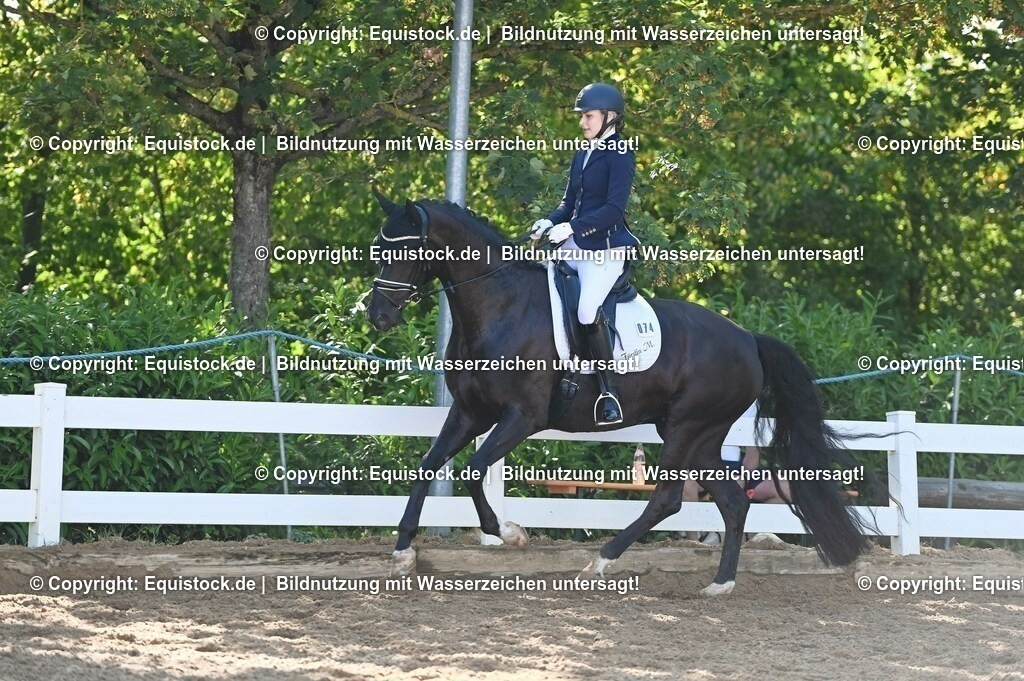 20230715_06_Dressurpferdeprfg. Kl.A_0261 | equistock