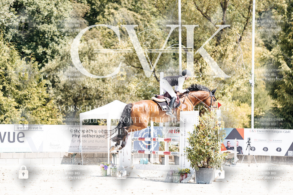 CK900614 | Turnierfotografie Pferdefotografie Trier Rheinland-Pfalz Pferdesport Reitsport Tierfotografie Sportfotografie Pferdevideo Pferdevideografie Equestrianvideography equestrianphotography  - Realisiert mit Pictrs.com