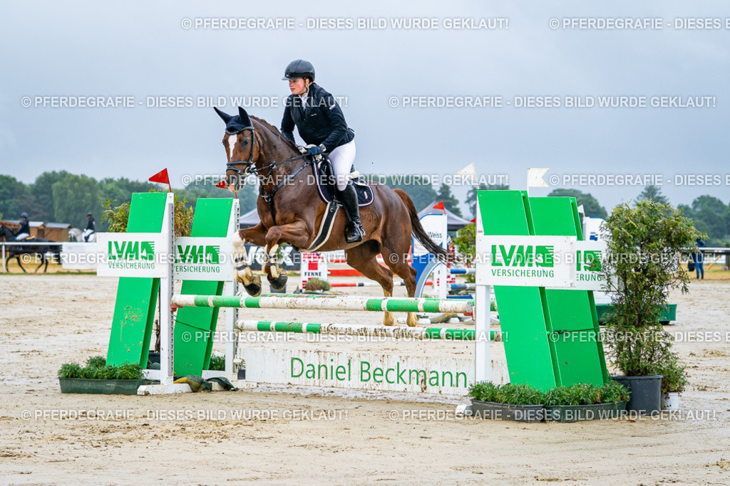 DSC03133 | Pferdegrafie