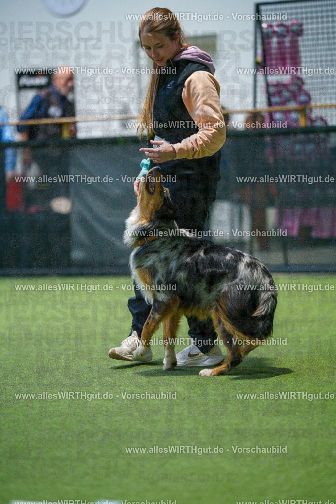 7R507686 | Professionelle Tierfotografie in Mönchengladbach von Daniel Wirth (allesWIRTHgut). Liebevolle & natürliche Bilder von Hunden & Katzen für unvergessliche Erinnerungen.