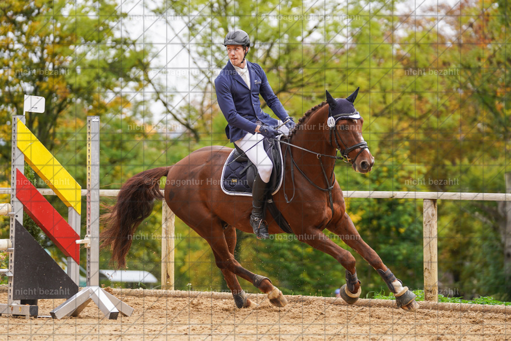 20221009-FAH08708 | Diessen am Ammersee, 2022, Dressur- und Springturnier, Reitsportbilder, Turnierfotografen Bayern, Pferdefotografen, Fotoagentur Herrmann, Turnierbilder