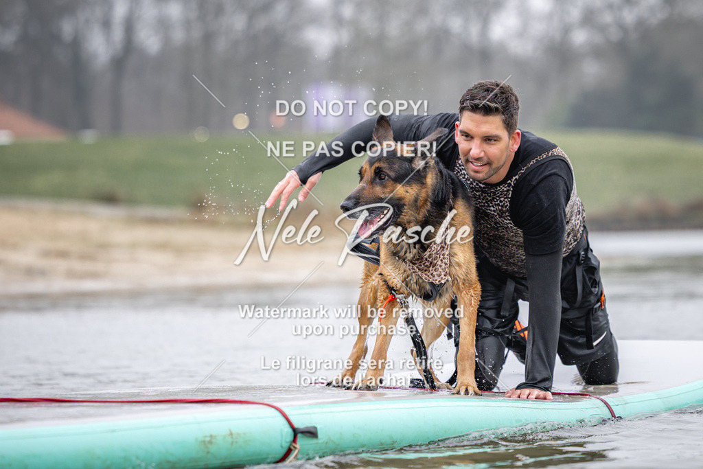 nelerasche_Hulsbeek_Sa1030-1100_523 | nelerasche