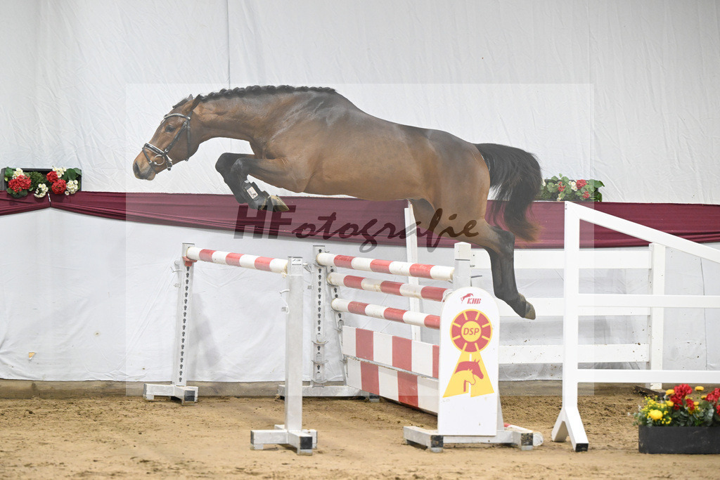 Kat-Nr. 90 Million Dollar x Cash and Carry_Ralf Laubheimer_47253122 | hf-fotografie - Realisiert mit Pictrs.com