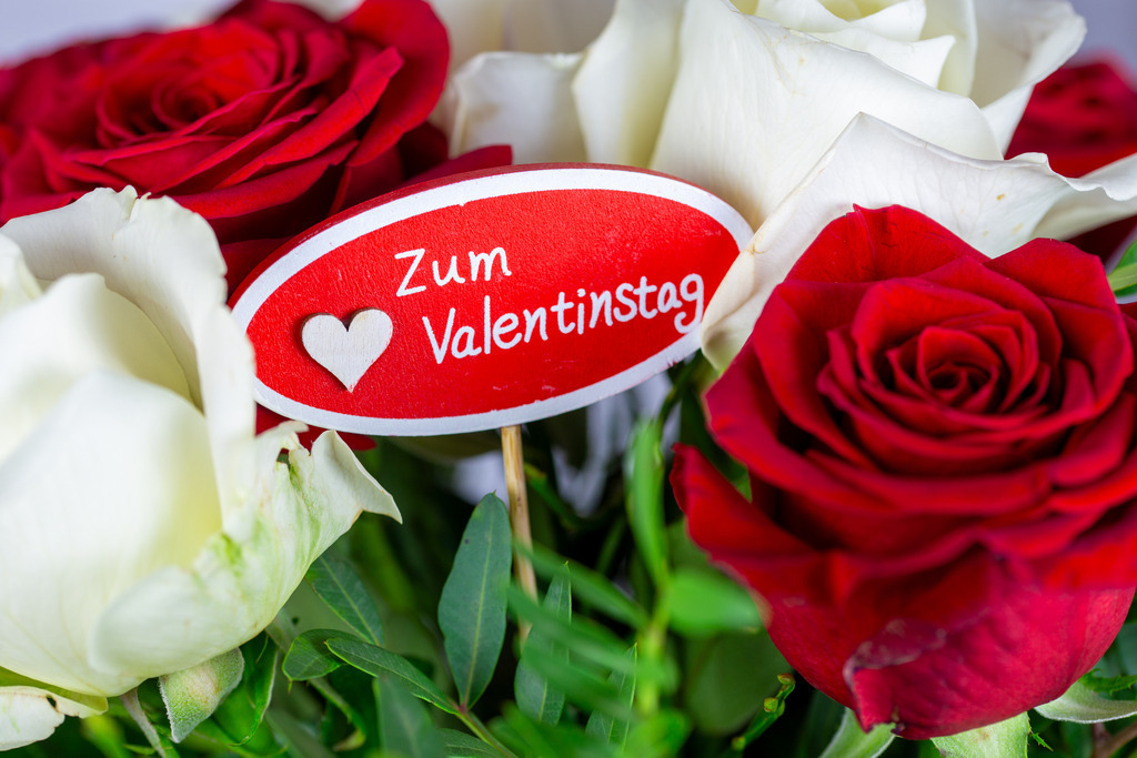 Valentinsgrüße: Herzliche Grüße zum Valentinstag mit einem Blumenstrauß mit weißen und roten Rosen  | Valentinsgrüße: Herzliche Grüße zum Valentinstag mit einem Blumenstrauß mit weißen und roten Rosen  - Realisiert mit Pictrs.com