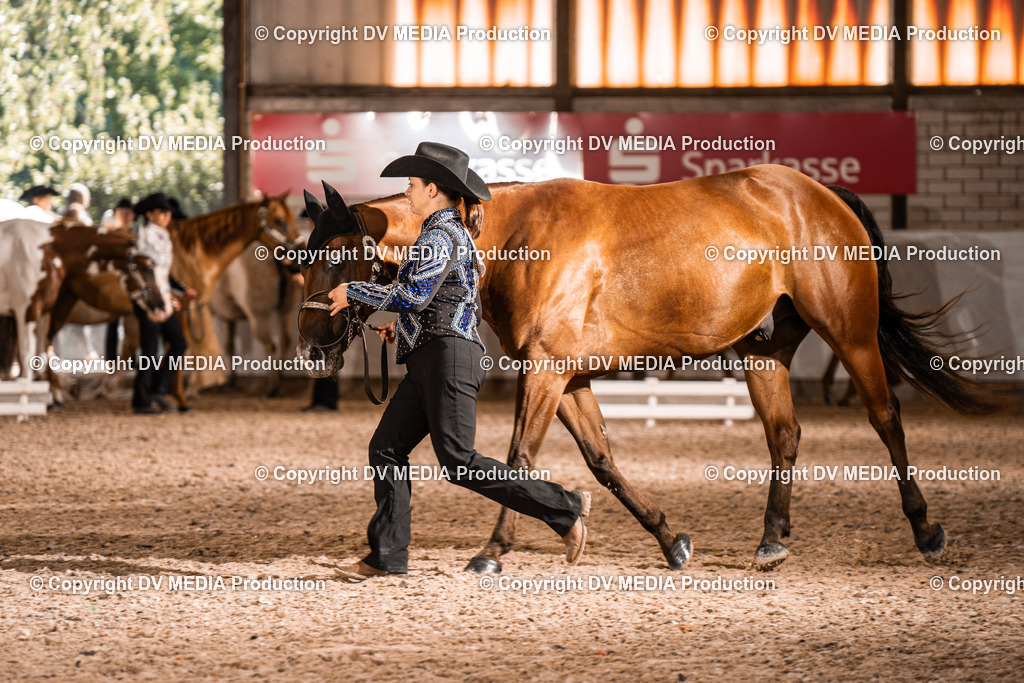 ZH100006 | dv-media-shop - Realisiert mit Pictrs.com