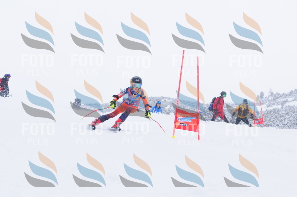 C4116 | holidayphoto