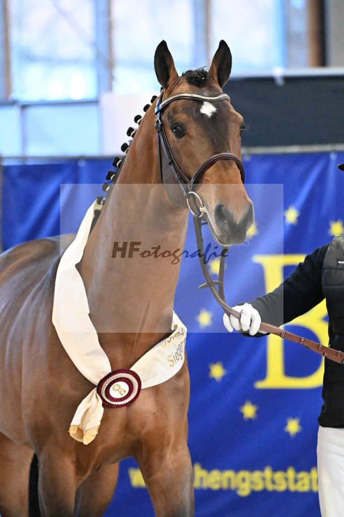 Chaplins Touch B_5250796 | hf-fotografie - Realisiert mit Pictrs.com