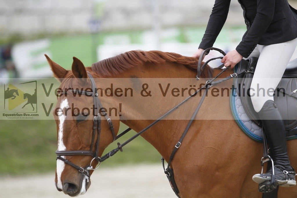 _MG_2828 | equestrian-live-com