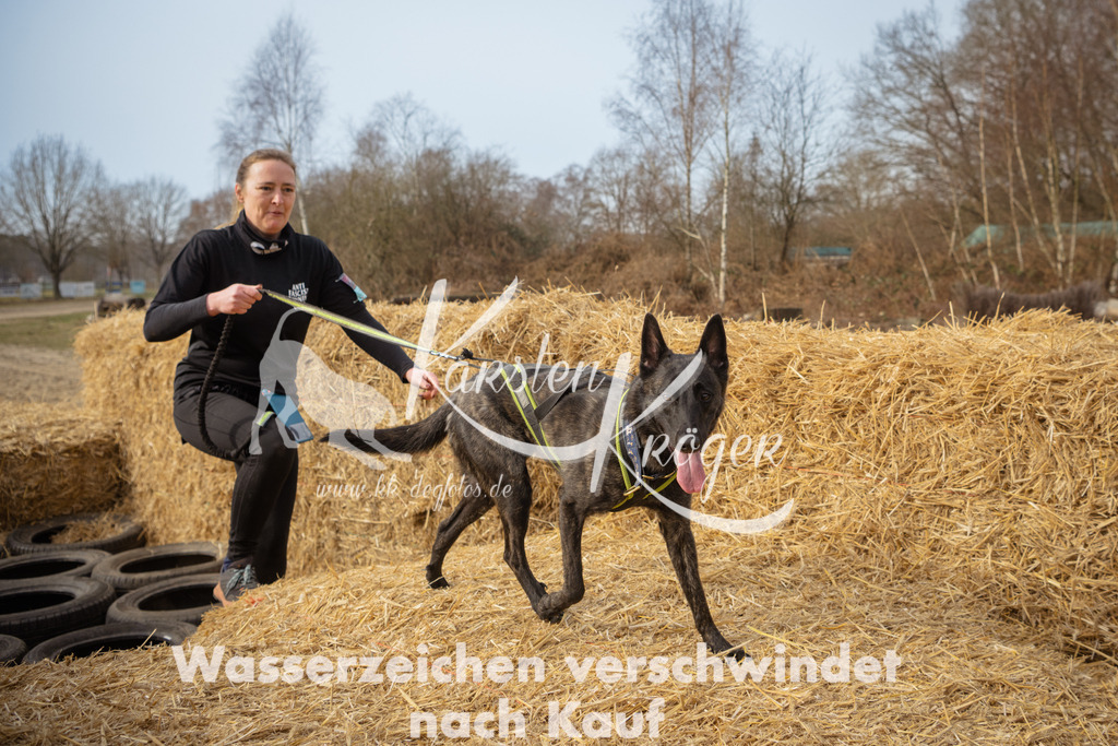 1100_ZZ91565 | kk-dogfotos